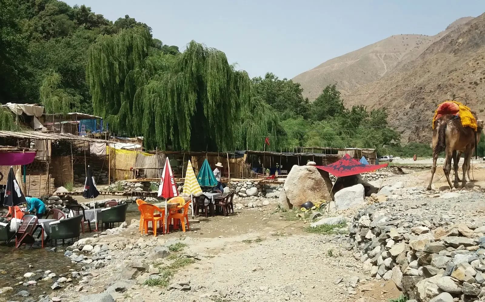 Ourika Valley 1 Day Excursion