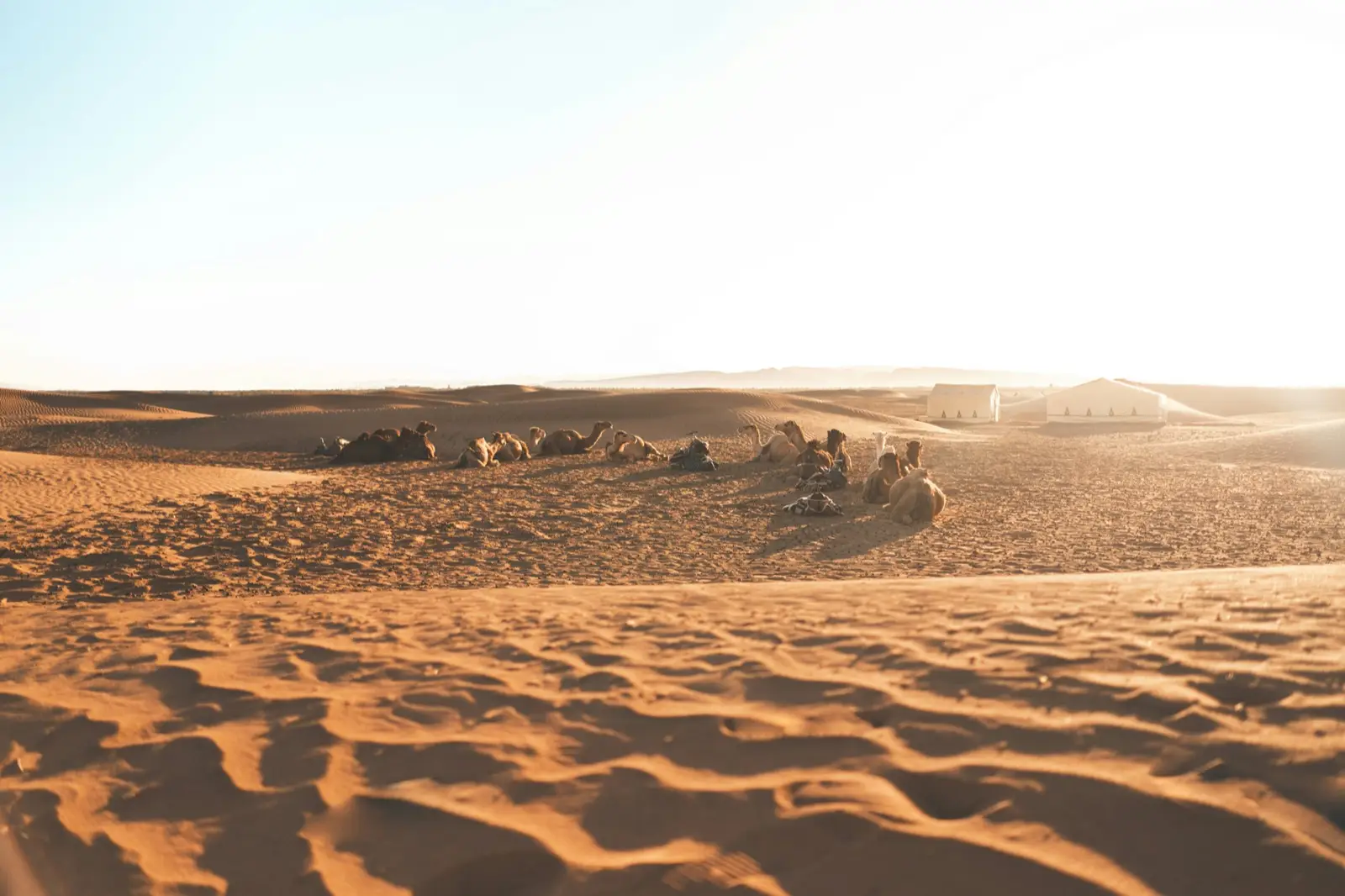 Zagora 2 Days Excursion