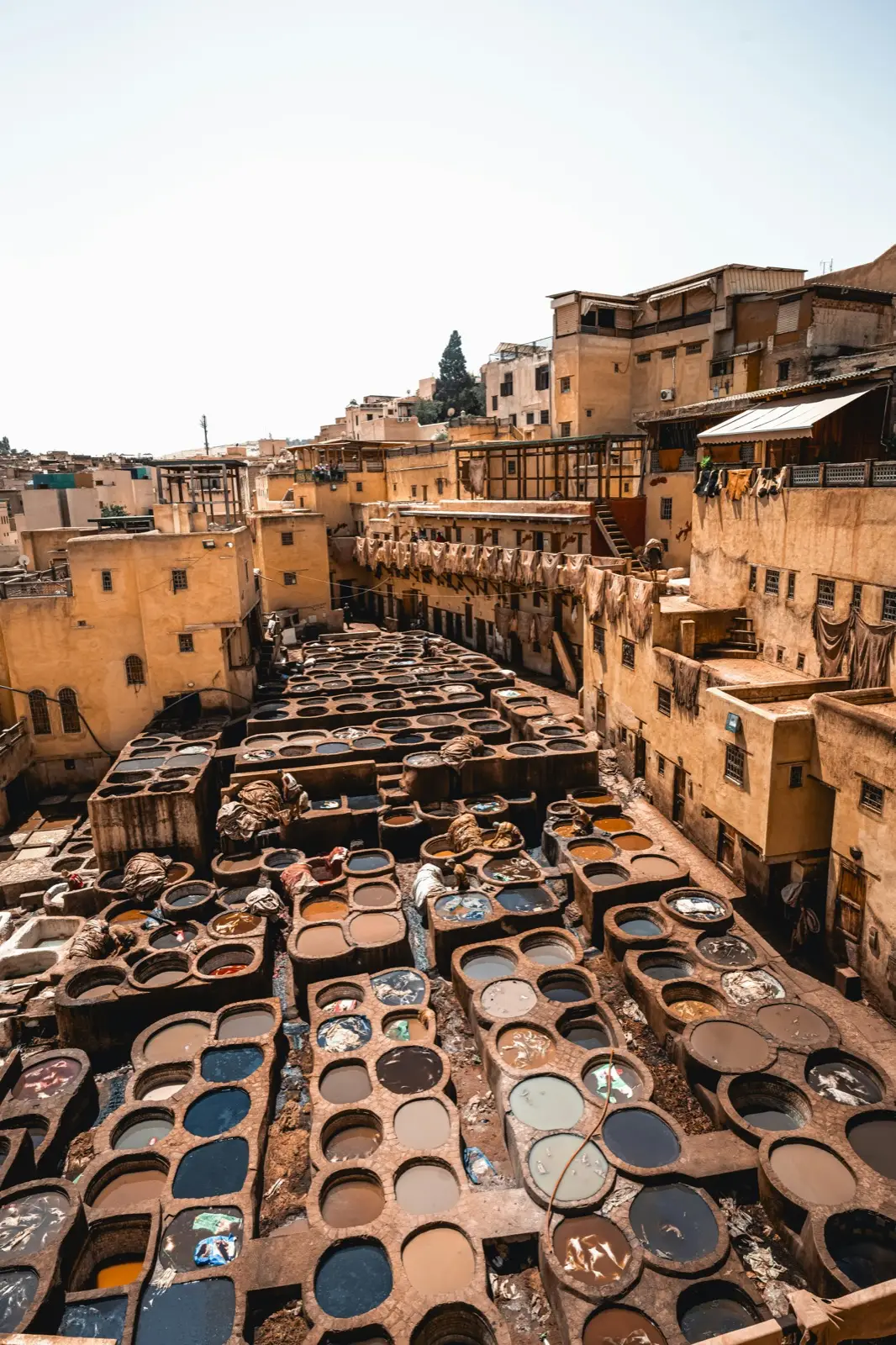 Fes Excursion